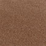 Brown Carpet CRFRS#15