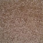 Brown Carpet CRFRS#17