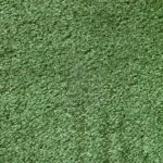 Green Carpet CRFRS#91